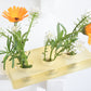 Moss duo: Resin flower arrangement base