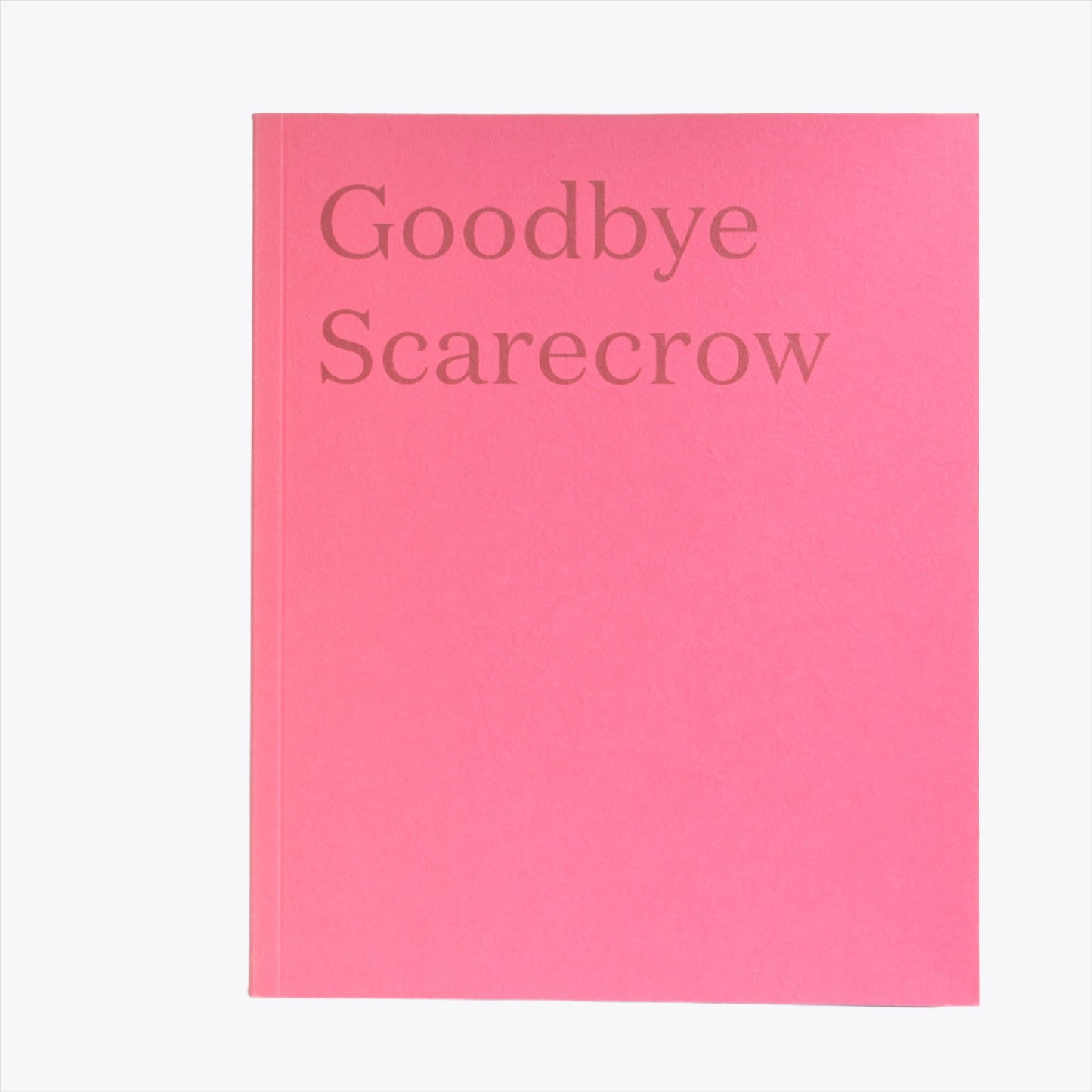 Goodbye Scarecrow by Billy Metcalfe and Siofra Dromgoole