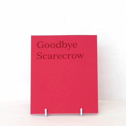 Goodbye Scarecrow by Billy Metcalfe and Siofra Dromgoole