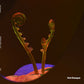Hot Desque: Terrestrial Act Publication